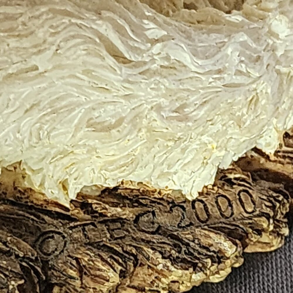 Boyds Bears The Purrstone Collection Purrcilla Prissybuns Ready for my Closeup - Picture 12 of 16